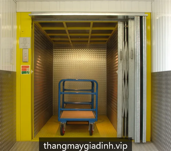 Thang nâng hàng HCM