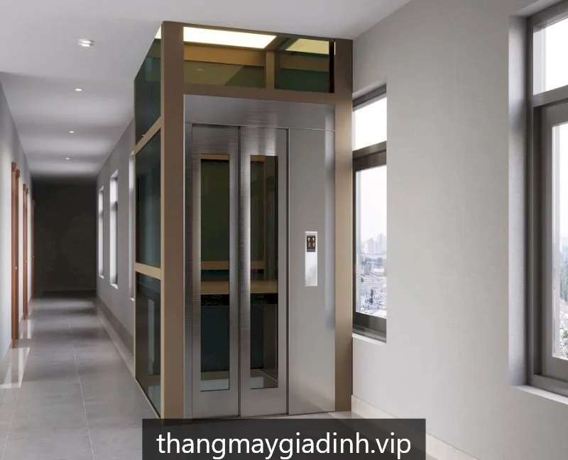 Thang máy gia đình HomeLift GĐ450 - ảnh 2