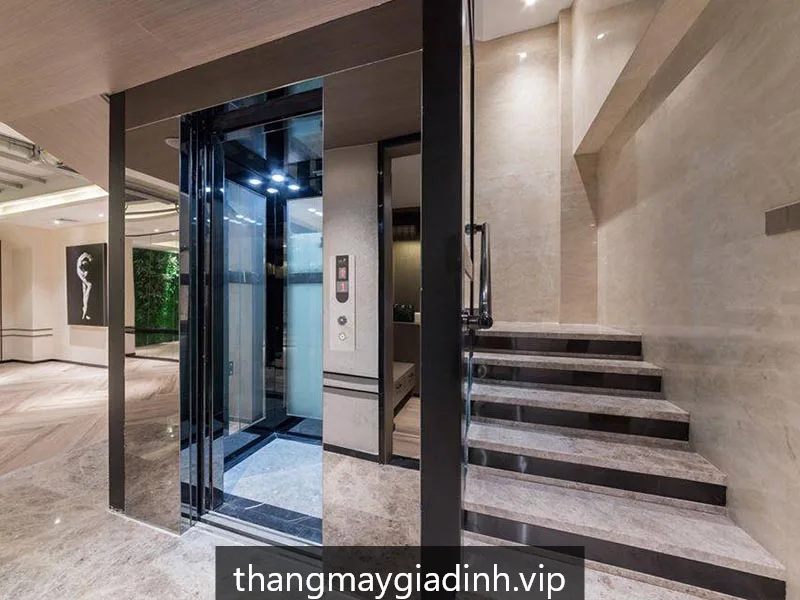 Thang máy gia đình HomeLift GĐ450 - ảnh 3