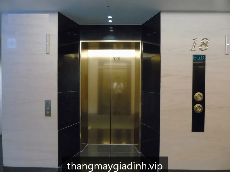 Thang máy gia đình HomeLift GĐ480 - ảnh 2