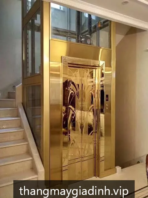 Thang máy gia đình HomeLift GĐ600 - ảnh 2