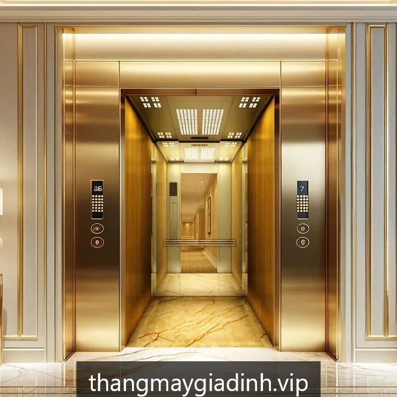 Thang máy gia đình HomeLift GĐ750