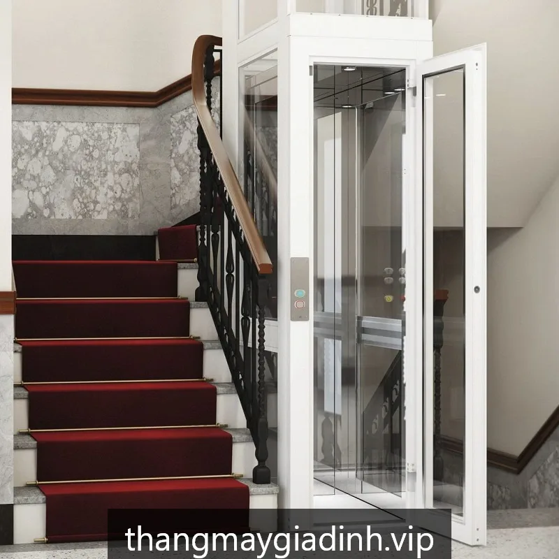 Thang máy mini EcoLift M250 - ảnh 3