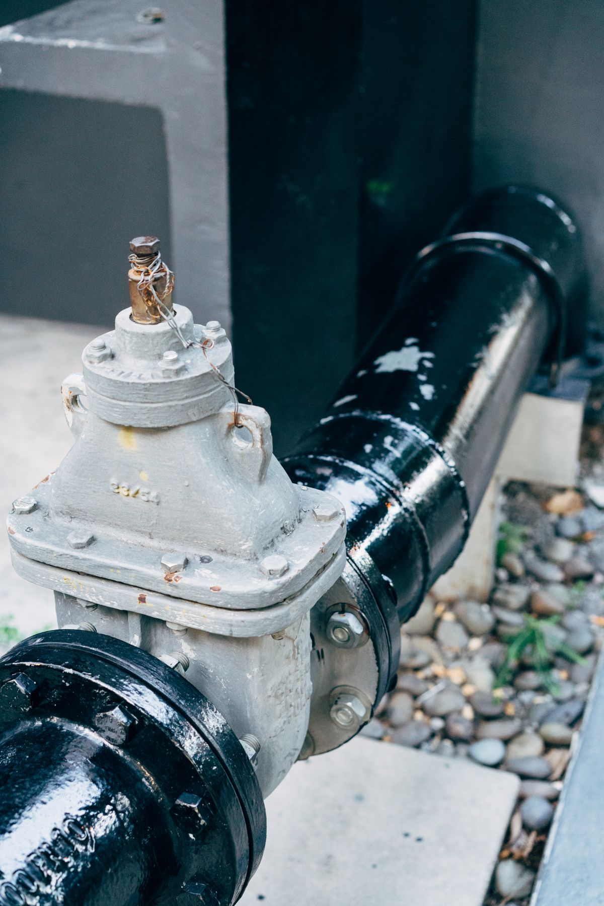 Thang máy thủy lực HydroLift HL450 - ảnh 3