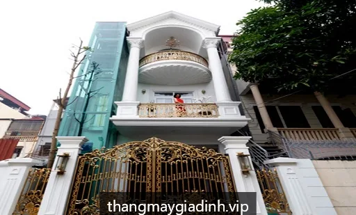 Lắp đặt thang máy kính ngoài trời ngắm đồi thông cho biệt thự Đà Lạt